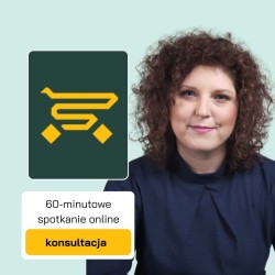 konsultacja doradztwo ecommerce b2b b2c