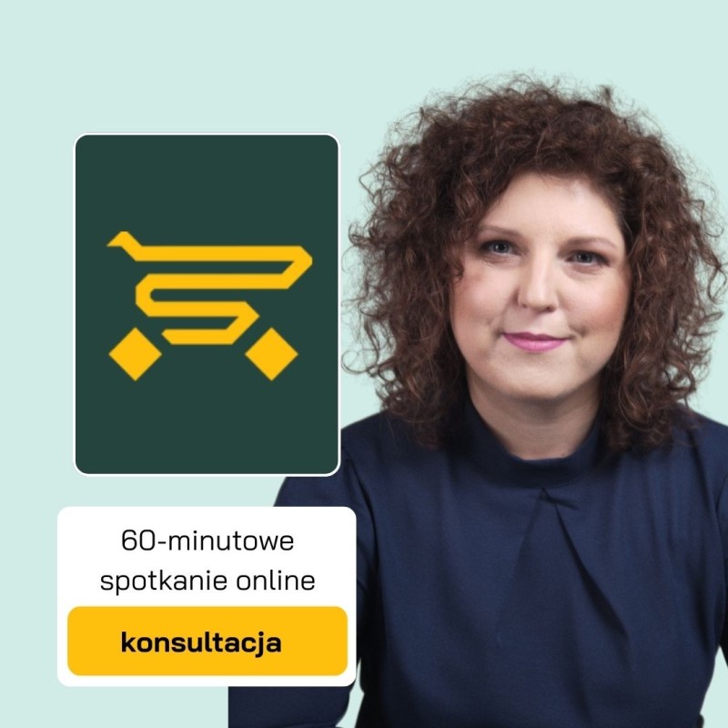 konsultacja doradztwo ecommerce b2b b2c